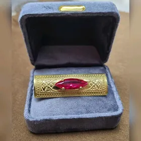 Kümüş gyzyl çaÿylan broşka