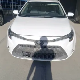 Toyota Corolla 2020