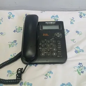 ДОМАШНИЕ. ТЕЛЕФОН