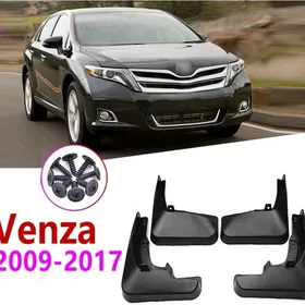 Venza Brazgawyk 2008-2017ýyl