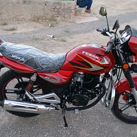 Fekon FK200-14G 2025