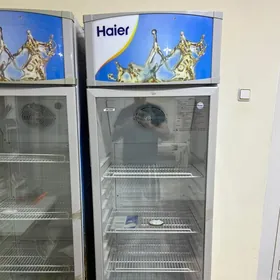 Holodinlik