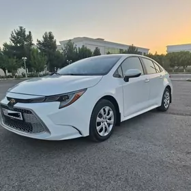 Toyota Corolla 2021