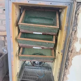 Inkubator