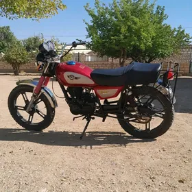 Fekon FK150-8G 2025
