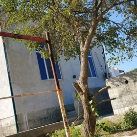 Сатлык жай