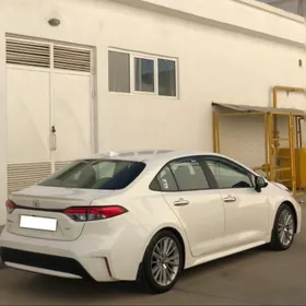 Toyota Corolla 2020