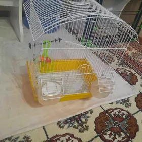 ketek