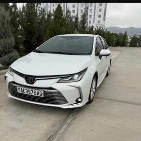 Toyota Corolla 2020