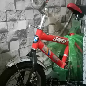 Çaga tigir