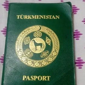 ПАСПОРТ. ТАПДЫМ