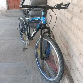 Spartiwny 26 lyk