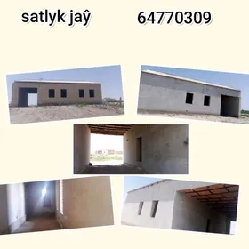 Satlyk jay