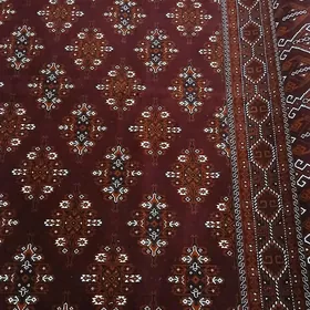 Halylar