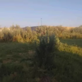 затон дача
