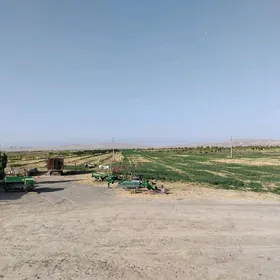 Satlyk 15 gektar
