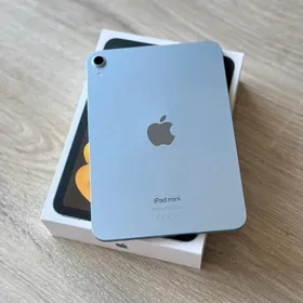 iPad Mini 256GB