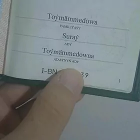 Pasport