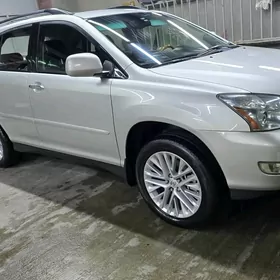 Lexus RX 330 2004