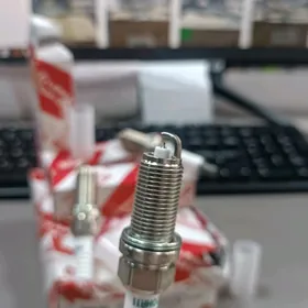 TÄZE ORIGINAL SWECHLAR