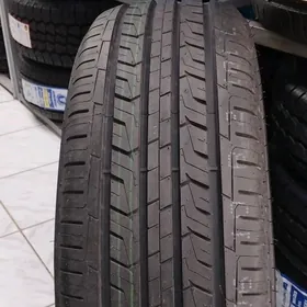ARDUZZA 24YYL 2456018 1ST