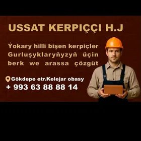 Bishen kerpic sary