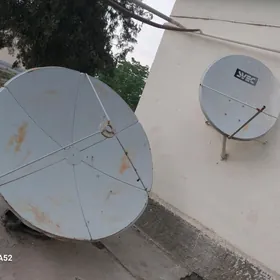 Barabariçeskiý anten, Tarelka