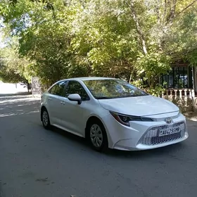 Toyota Corolla 2020