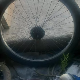 Tur tigiriñ izky tekeri tayin