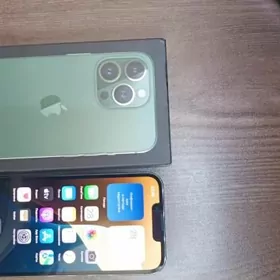 iPhone 13pro