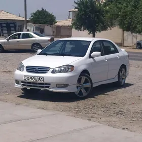 Disga 18 hrom