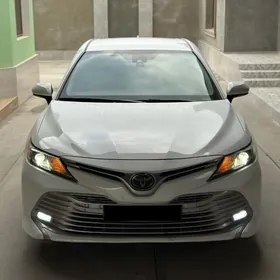Toyota Camry 2019