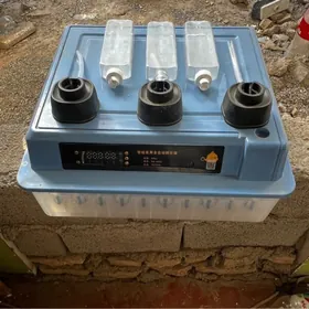 inkubator