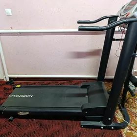 Begawoýa daroşga