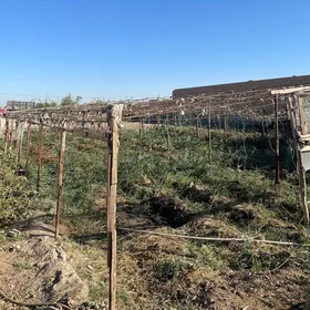 Теплица