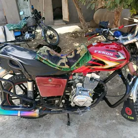 Fekon FK200-14G 2015