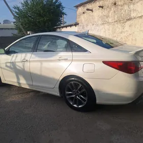 Hyundai Sonata 2011