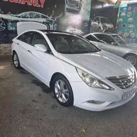 Hyundai Sonata 2010