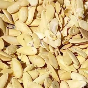 Gawun çigidi we paçagy ü