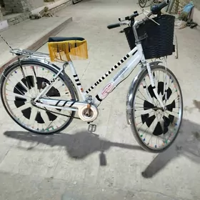 welik 27