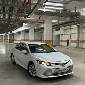 Toyota Camry 2019