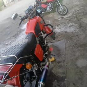 Fekon FK200-14G 2022
