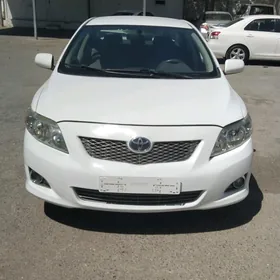 Toyota Corolla 2010