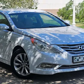 Hyundai Sonata 2010