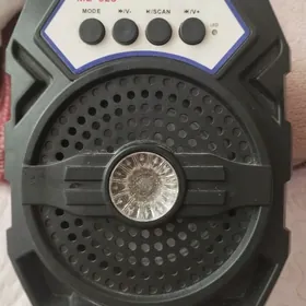 BT-Tspeaker