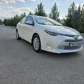 Toyota Corolla 2019