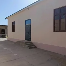 coganly plan jan