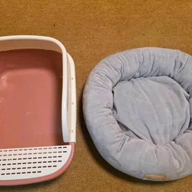 Лоток для котят