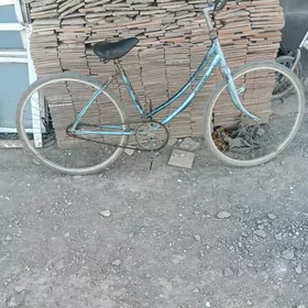 welsepit