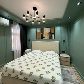 ARENDA JAY Mir 7